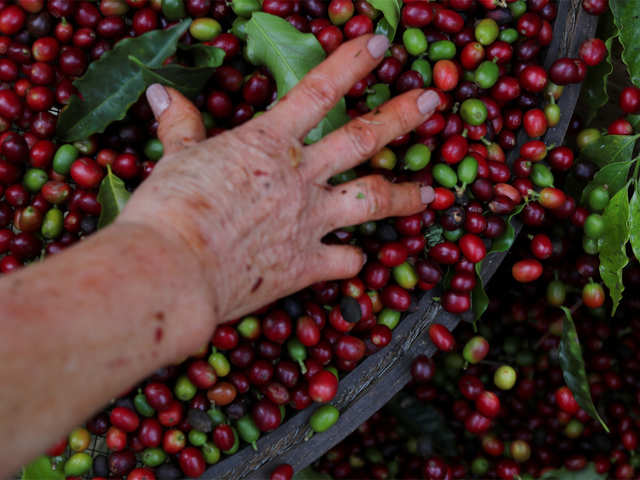 Coffee production