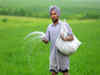 Neem-coated fertiliser helped reduce use of chemicals, raise crop yields: Gowda