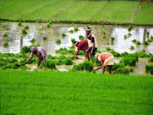 farmers-representative-toi.