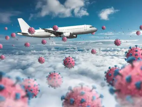 ​Countries with air bubble agreements