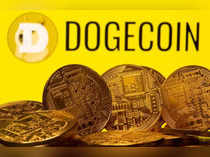 FILE PHOTO: Cryptocurrency representations are seen in front of the Dogecoin logo in this illustration