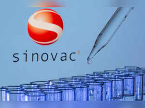 FILE PHOTO: Test tubes are seen in front of a displayed Sinovac logo in this illustration taken