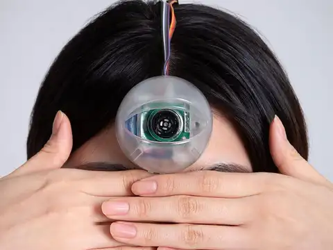 Three-eyed future