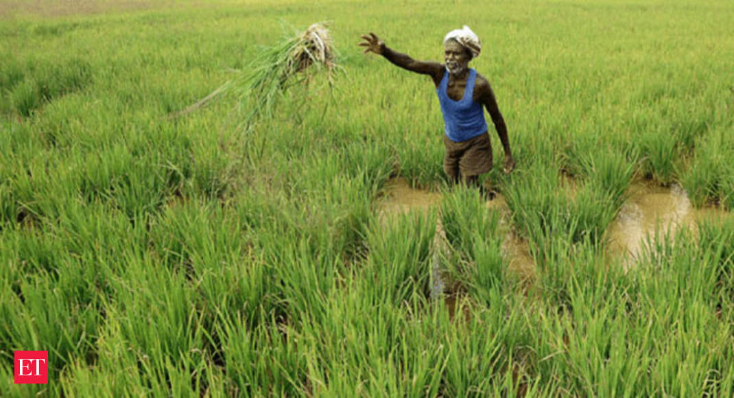 Union Cabinet approves hike in MSP for kharif crops