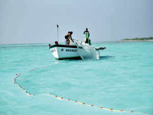A group of men fishing in the lagoons of Minicoy, Lakshadweep