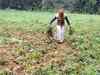 Maharashtra government waives interest on crop loan up to Rs three lakh