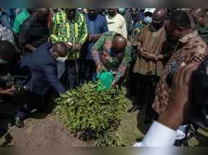 Five million trees were due to be planted across Ghana