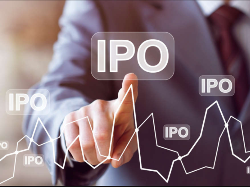ipo: Shyam Metalics' allure dimmed by high valuations ...