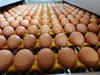 Company sells special eggs for vaccine, strikes it rich