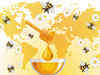 Sweet revolution: India has a honey trap for China