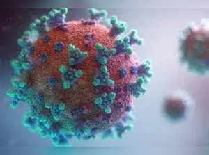 Coronavirus