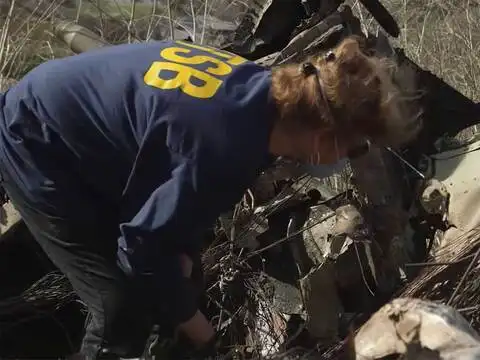 ​Safety oversight