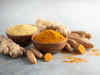 Meghalaya exports turmeric, ginger powder to Netherlands, UK