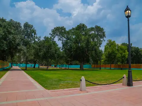 Increasing green cover