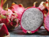 India exports first consignment of Dragon Fruit