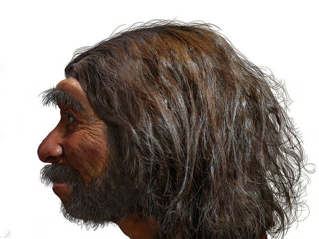 Closest hominin relatives
