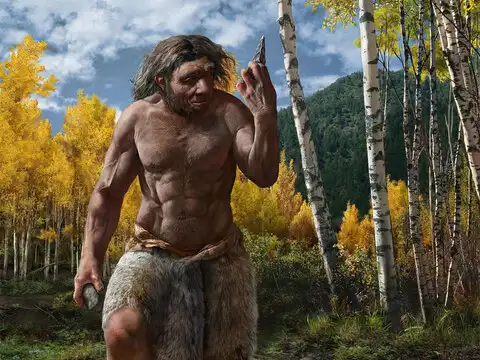 Homo longi lineage
