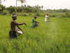 Agri financing companies expect a major uptick in financing demand from the agricultural sector this Kharif