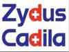 India's Zydus Cadila applies for emergency use nod for COVID-19 vaccine