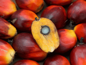 Palm-oil-