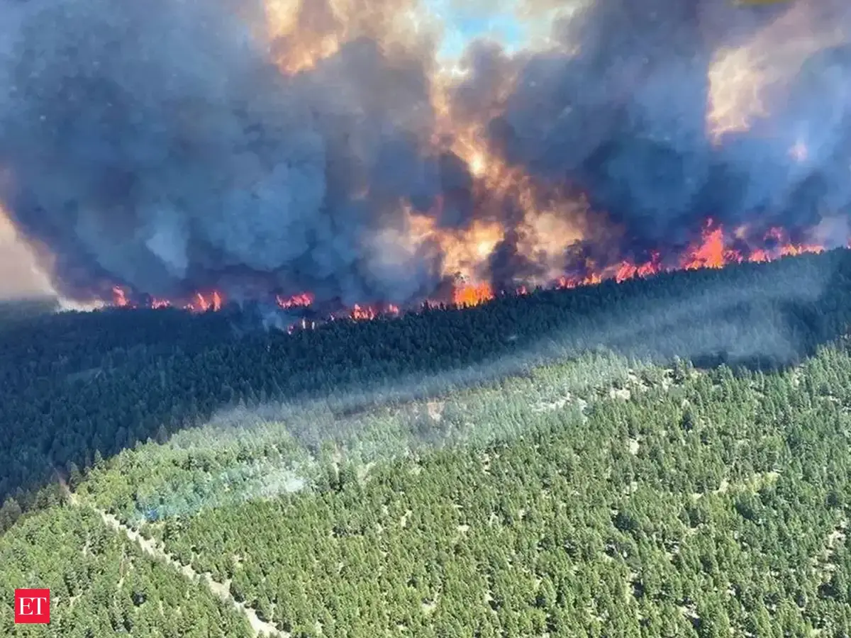 Several new fires rage in Canada amid a record high temperature of 49.6 ...
