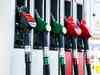 Govt may issue guidelines for 'flex-fuel' vehicles by October