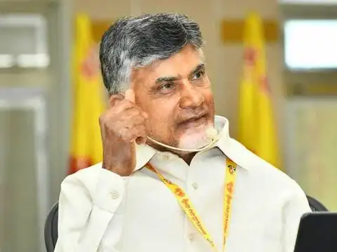 ​What did former Andhra Pradesh CM say?