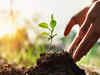 UP govt plants 25 crore saplings