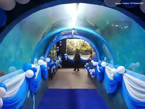 ​Various aquatic animals