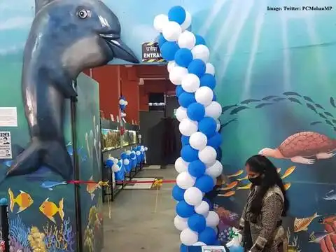 ​3D "selfie" area