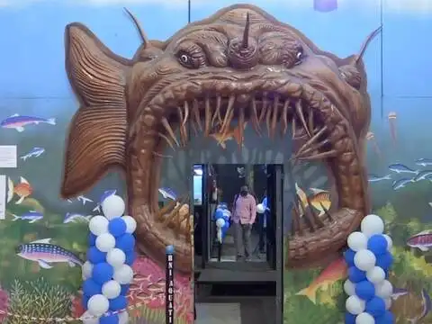 ​Amazon river concept