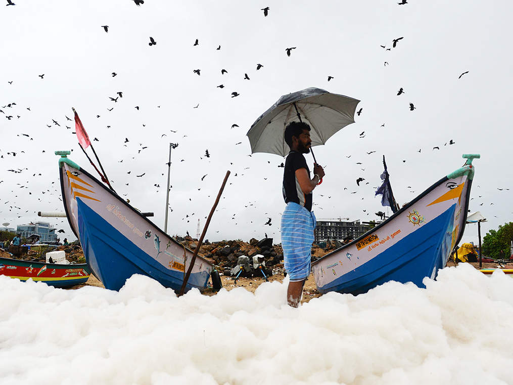 As pollutants contaminate India’s INR46,662 crore seafood industry, the world turns up its nose