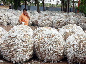 Industry urges govt to curb surge in illegal HtBt cotton