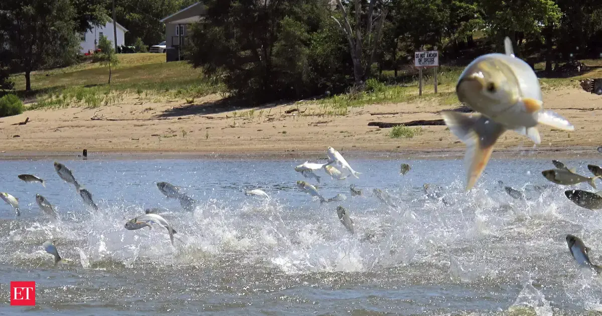 Worries over racism, waterways inspire push to rename fish - The ...