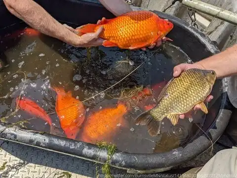 Cause damage to lakes