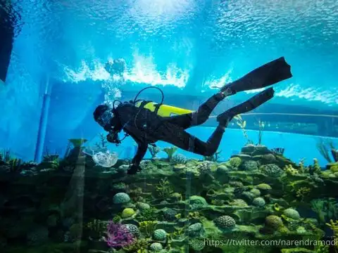 Robotics Center From Aquatic Gallery To Robotics Hub Pm Inaugurated Interesting Projects In Gujarat The Economic Times