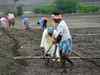 Year-on-year kharif sowing trails by 11.56%, reservoir levels lower by 7% than previous year