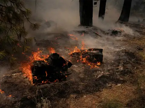 ​Worst fire season