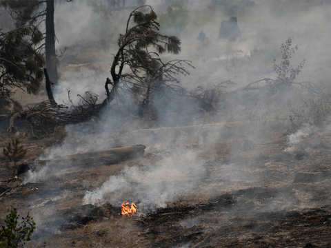 Massive wildfires in US West bring haze to East Coast