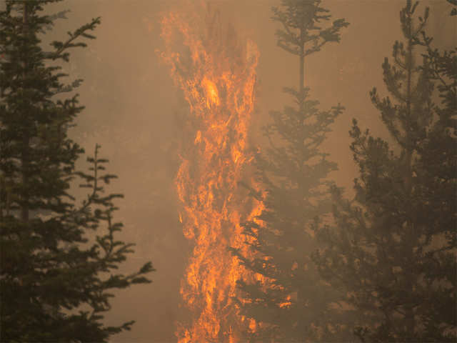 ​Largest wildfires in the US