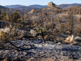 Wildfires blasting through West draw states to lend support