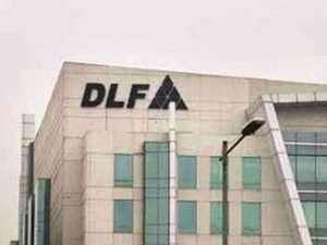 DLF (1)