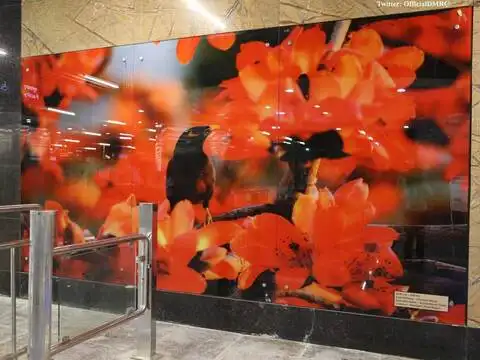 ​Wildlife