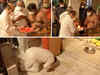 Watch: Karnataka CM-designate Basavaraj Bommai offers prayers at Sri Maruthi Temple ahead of oath-taking ceremony