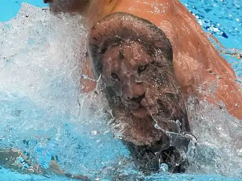 ​Lion tattoo