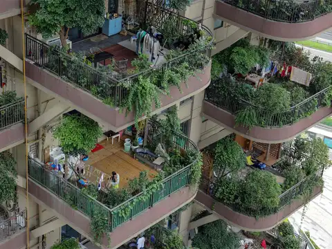 Qiyi City Forest Garden
