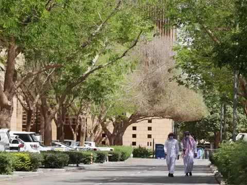 Reforestation in Riyadh