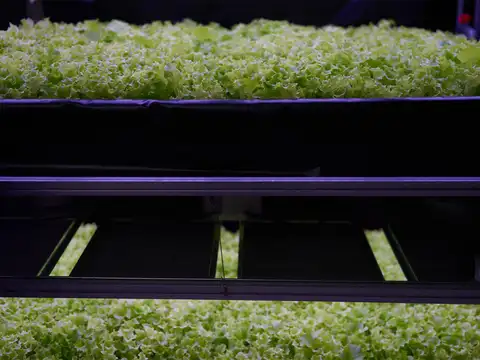 Nordic Harvest