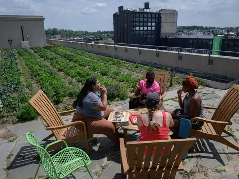 Brooklyn Grange rooftop farm