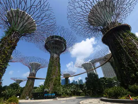 Gardens by the Bay